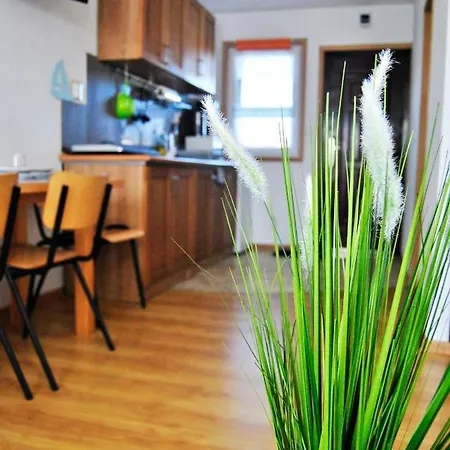 롯지 Kwiatu Paproci *